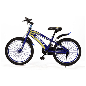 دوچرخه آبی TESLAr آیتم LB20_103 سایز 20-اسباب بازی